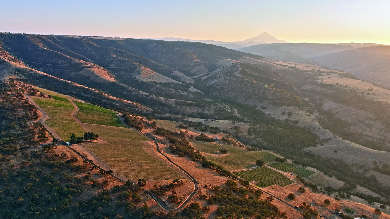 Aerial view of Windhorse Vineyard with Mt hood in background