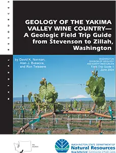 Yakima Valley Wine Country Article showing the training of a young grape vine